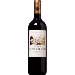 Château LA TOUR DE MONS 2020