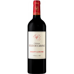 Château SEGUR DE CABANAC 2022
