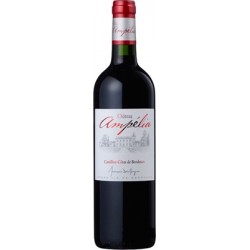 Château AMPELIA 2023