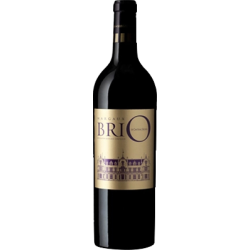 BRIO DE CANTENAC BROWN 2019