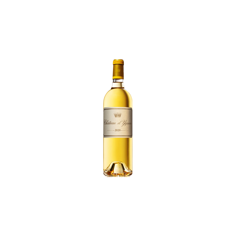 Château D'YQUEM 2022