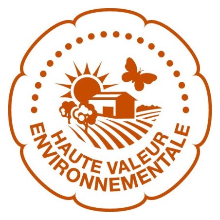 L'ESPRIT DE CHEVALIER ROUGE 2020