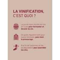 Quelques infos sur la vinification... Chaque étape dans la transformation du raisin en vin est essentielle. ⏳

#aries #ariesvins #copainsdegrandscrus #vinsdebordeaux #grandscrus #wine #vin #bonsvins #adeguster #degustation #entreamis #degusteraveclescopains #unbonvinentrecopains #culturevin #conseildexpert